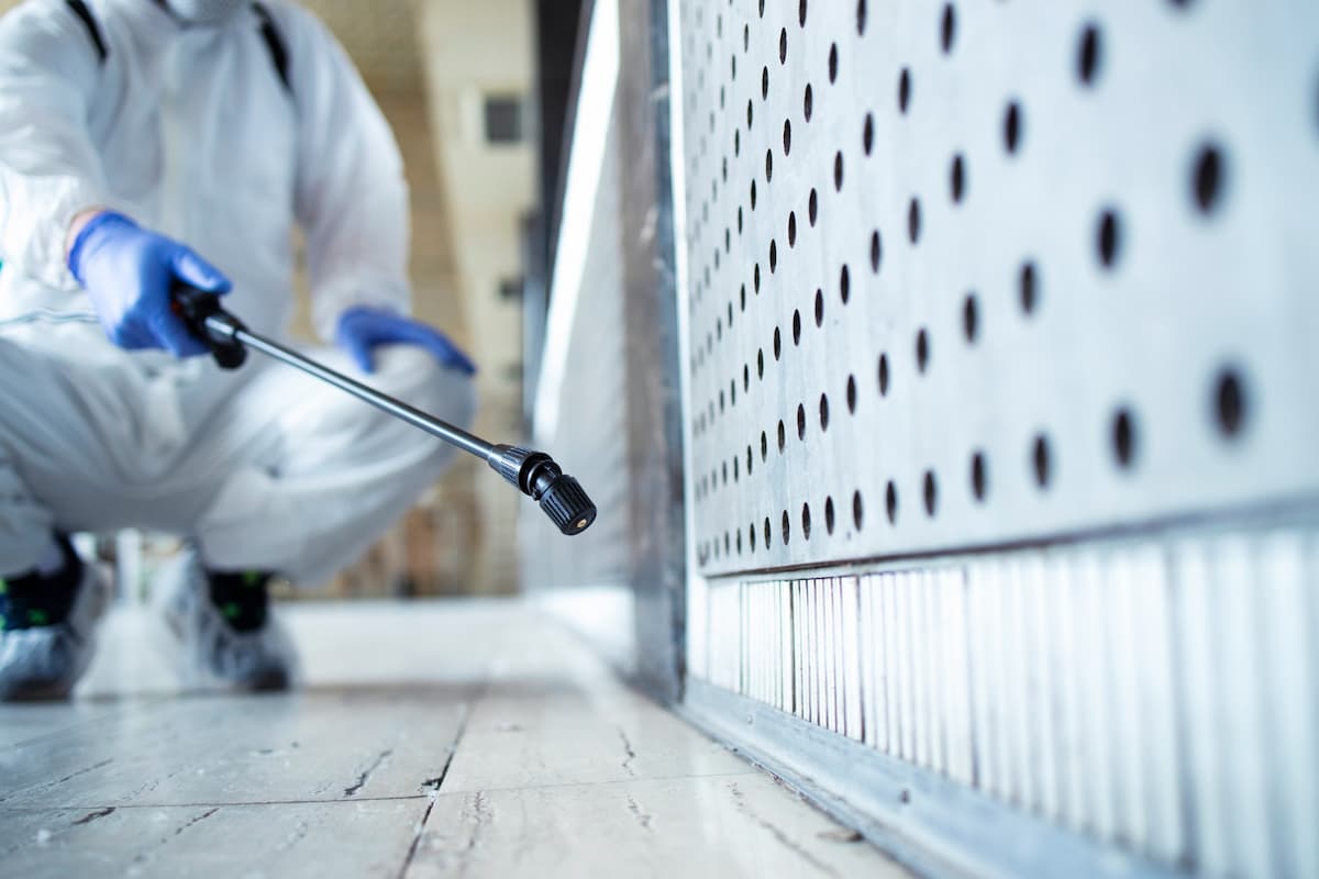 The Importance of Pest Control During Construction Projects - UK ...