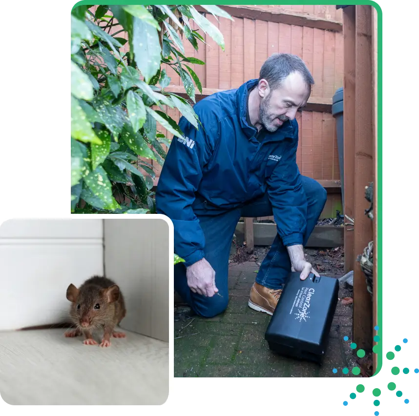 A man in a blue jacket sets a black pest control box outside near a fence—a proactive step often taken during renovations to keep spaces rodent-free. An inset shows a small rat on an indoor floor by a wall, highlighting the importance of pest control for Bromley builders and homeowners alike.
